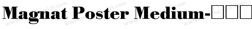 Magnat Poster Medium字体转换
